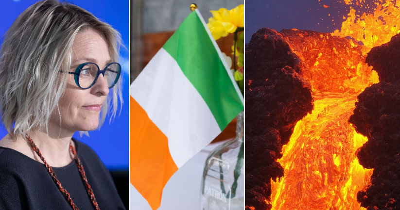 All About Steven J Gibbon