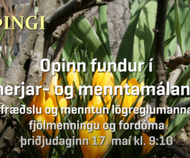 fundur alþing.PNG
