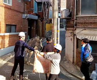 230324-zebra-mb-1050-08e6d2.webp